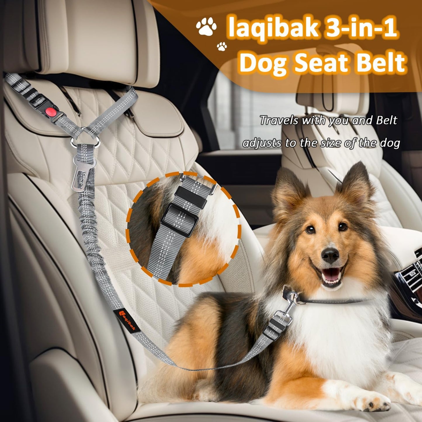 Removable Dog Seat Belt Harness for Car, 3 in 1 Pet Seatbelt Leash