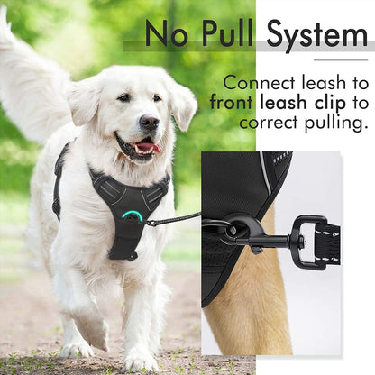 Rabbitgoo Adjustable No-Pull Front Range Dog Harness for Large Pets