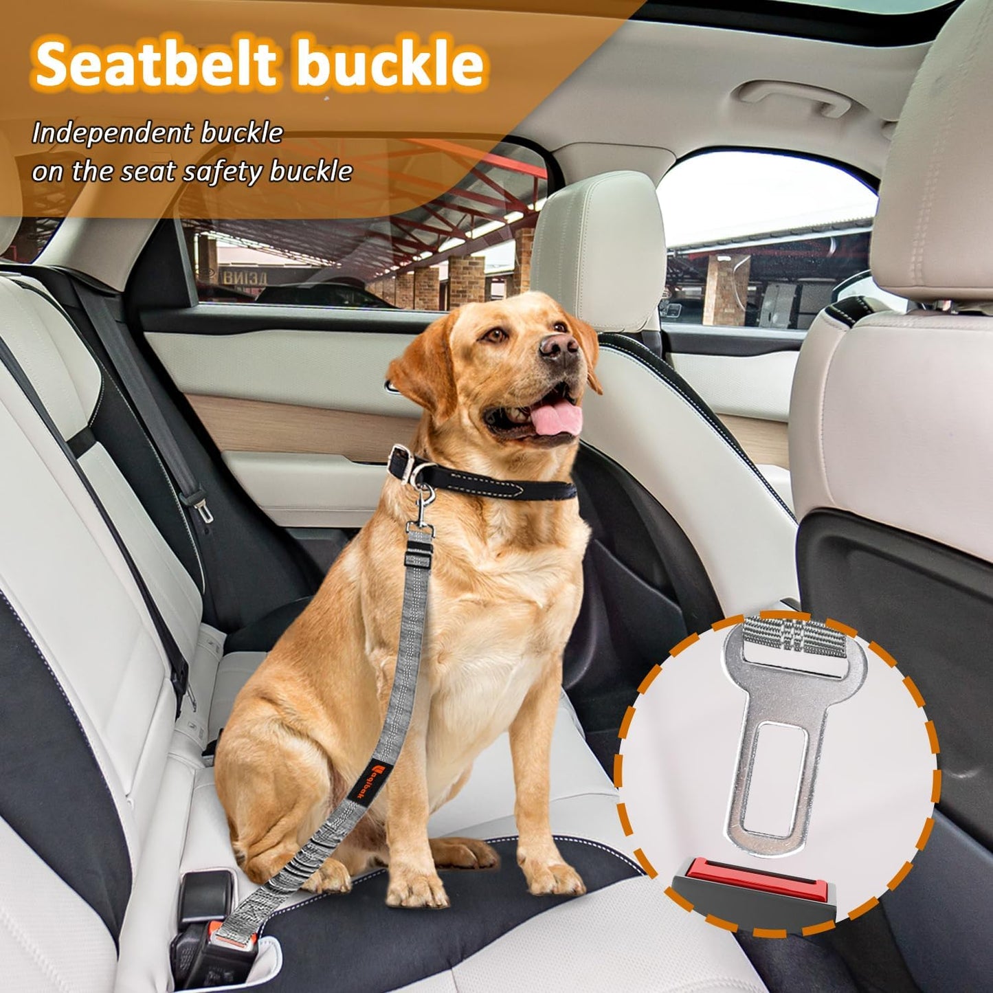 Removable Dog Seat Belt Harness for Car, 3 in 1 Pet Seatbelt Leash