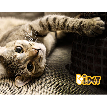 I.Pet Cat Tree Tower Scratching Post Scratcher Wood Condo Bed Toys Play Ladder