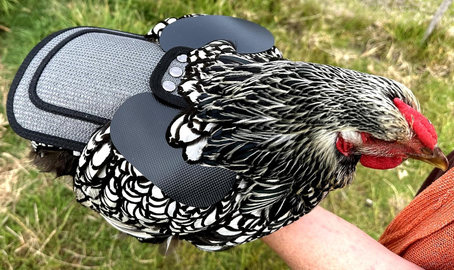 Premium Chicken Saddle, Adjustable Straps to Suit Medium and Large Hens, Poultry Saver, Protector, Apron, Supplies, Products and Equipment, Including Shoulder Cover (Grey Mesh)