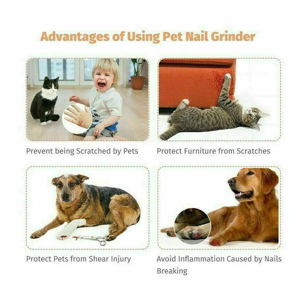 Electric Nail Grinder for Dogs and Cats - Professional Grooming Tool for Claw Care