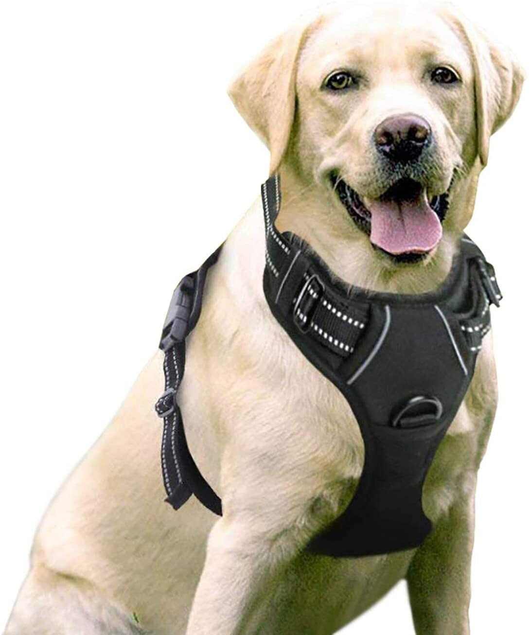 Rabbitgoo Adjustable No-Pull Front Range Dog Harness for Large Pets
