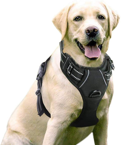 Rabbitgoo Adjustable No-Pull Front Range Dog Harness for Large Pets