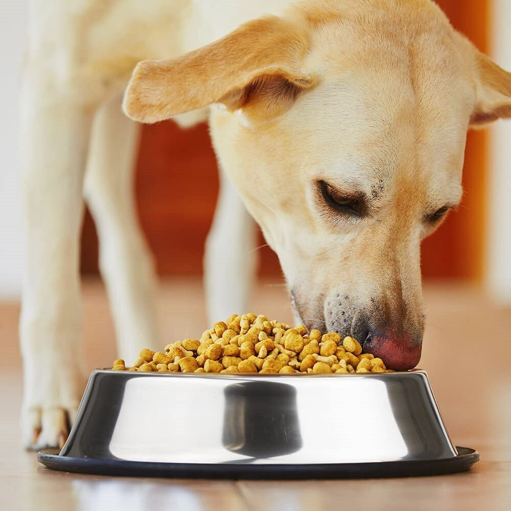 790Ml Pet Dog Puppy Food Water Dish Feeder Bowl Stainless Steel Non Slip Durable